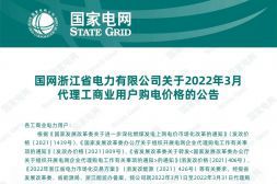 國(guó)網(wǎng)浙江省電力有限公司代理購電工商業(yè)用戶分時(shí)電價(jià)表-2023年3月